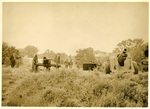 55-MM gun beside Civil War cannon in National Park by Charles Johnson Faulk Jr.