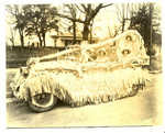 Parade - Unidentified Float