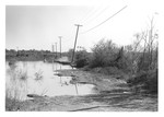Road damage - Tombigbee River Flood 1979