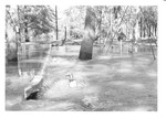 Flooding, Probst Park - Tombigbee River Flood 1979