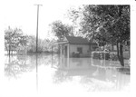 Floodd house - Tombigbee River Flood 1979