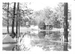 Flooding in Probst Park - Tombigbee River Flood 1979