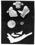 Objects found by Mississippi Archaeological Association