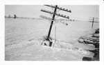 Flood damage to power pole between Shaw and Leland - Mississippi River Flood, 1927.