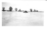Flooded farm between Shaw and Leland, Mississippi River Flood, 1927.