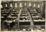 State Senate Chamber, New Capitol.