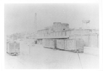 Borden boxcars plant
