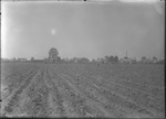 Hecla Plantation by United States. Entomology Research Division. Delta Research Laboratory (Tallulah, La.)