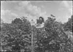 Eureka Weevil Picking Experiment by United States. Entomology Research Division. Delta Research Laboratory (Tallulah, La.)