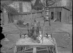 Cotton Dusting Machine View by United States. Entomology Research Division. Delta Research Laboratory (Tallulah, La.)