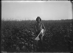 Hand Gun Operator by United States. Entomology Research Division. Delta Research Laboratory (Tallulah, La.)