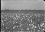 Texas Plant Tests by United States. Entomology Research Division. Delta Research Laboratory (Tallulah, La.)