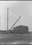 Madison Mill Log Pile by United States. Entomology Research Division. Delta Research Laboratory (Tallulah, La.)