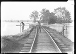 High Water Scene by United States. Entomology Research Division. Delta Research Laboratory (Tallulah, La.)