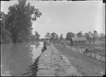 High Water Scene by United States. Entomology Research Division. Delta Research Laboratory (Tallulah, La.)