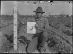 Poisoned Plat by United States. Entomology Research Division. Delta Research Laboratory (Tallulah, La.)
