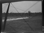 Lt. Pinon Flying Dusting Plane by United States. Entomology Research Division. Delta Research Laboratory (Tallulah, La.)