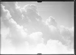 Cloud Plate Test by United States. Entomology Research Division. Delta Research Laboratory (Tallulah, La.)