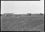 Demonstration Day Airfield by United States. Entomology Research Division. Delta Research Laboratory (Tallulah, La.)
