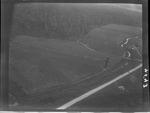 Shirley Plantation Aerial View by United States. Entomology Research Division. Delta Research Laboratory (Tallulah, La.)