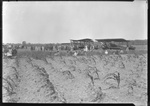 Airfield on Demonstration Day by United States. Entomology Research Division. Delta Research Laboratory (Tallulah, La.)