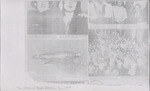Newspaper Clipping, Commercial Appeal, July 1, 1949