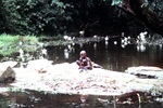 Boy Bathing in a Creek by Jerry Boyd Jones