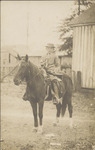 Walter McMahen Portrait on a Horse