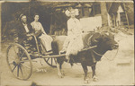 Ava Johnson Nichols and husband James William “Will” Nichols in a Cart Pulled by a Cow