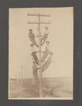 Linemen on a Utility Pole