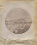 Magdalena Mountain, New Mexico, February 1890