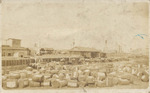 Bales of Cotton