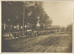 Oxen on the Canton Square, ca. 1890-1910