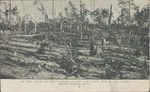 In the Path of the Copiah County Cyclone, February 2, 1908, Near Hazlehurst, Mississippi