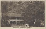 Pavillion Over the Well at Coopers Well, Mississippi Pavillion Over the Well at Coopers Well, Mississippi