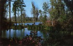 Holly Bluff Gardens Lagoon, Bay St. Louis, Mississippi