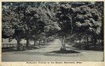 Nicholson Avenue to the Beach with a Tree Splitting the Road, Waveland, Mississippi