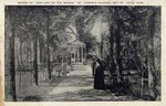 A Nun Walking the Tree-lined Path to the Shrine of 