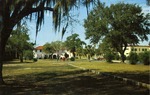 Gulfshore Baptist Assembly Parking Area