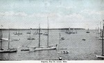 Regatta, Bay St. Louis, Mississippi