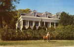 Pirate House, Waveland, Mississippi: A Two Story White House Surrounded by Trees With a Lady and a Horse Standing in Front