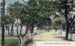 Shell Road Lined with a White Fence and Trees, Bay St. Louis, Mississippi