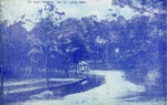 St. Rock Springs, Bay St. Louis, Mississippi Path, Trees, and Pavilion