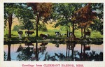 Greetings from Clermont Harbor, Miss., Postcard Advertisement with Cows at the Water