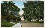 Beach Drive, Bay St. Louis, Miss. "Garden of the Riviera."