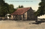 A Wood Cabin named The Couevas Homestead, Cat Island