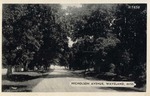 Tree-Lined Nicholson Avenue, Waveland, Mississippi