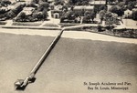 Aerial Coastline View Overlooking St. Joseph Academy, Our Lady of the Gulf, A Pier, and Other Buildings, Bay St. Louis, Mississippi