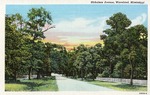 Angled View of Nicholson Avenue, Waveland, Mississippi