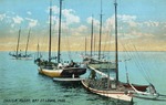 Oyster Fleet, Bay St. Louis--Oyster Fishing Boats Lined Up in the Bay